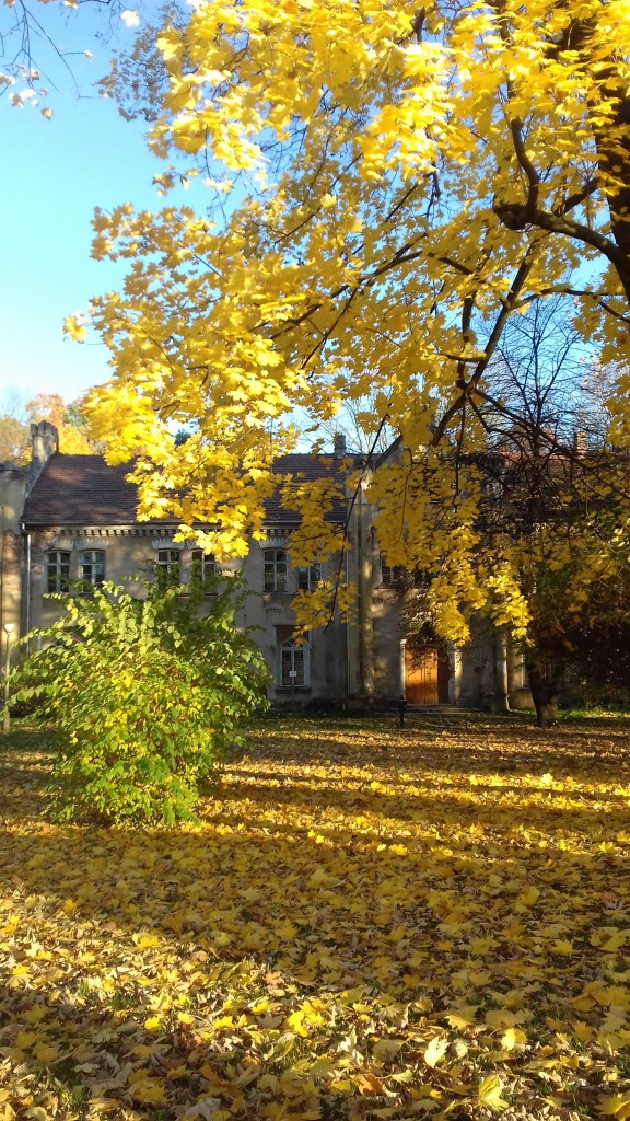 Leśne klimaty, Park jesienią