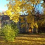 Leśne klimaty, Park jesienią