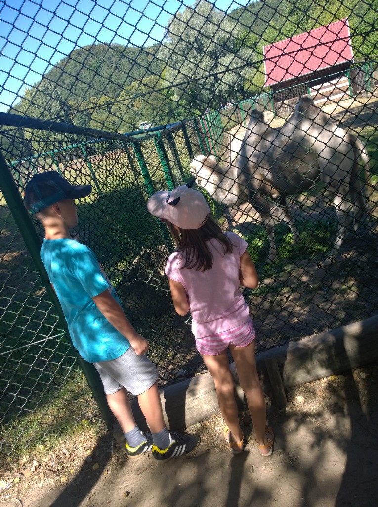 Pozostałe, koniec lata coraz bliżej ...... - Gdańskie Zoo