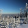 Pozostałe, zimowe klimaty - .