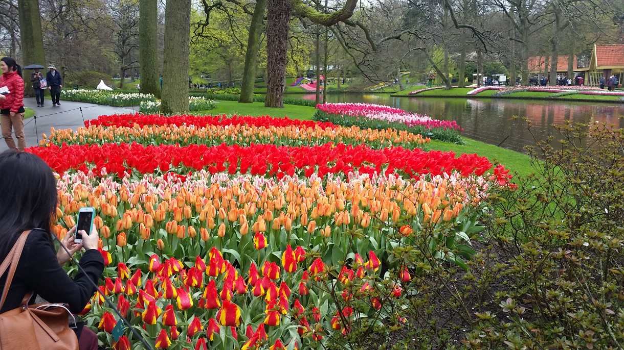 Pozostałe, Wizyta w Keukenhof