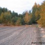 Leśne klimaty, Jak zmieniał się nasz ogród - Wykopane dołki pod słupki ogrodzenia.