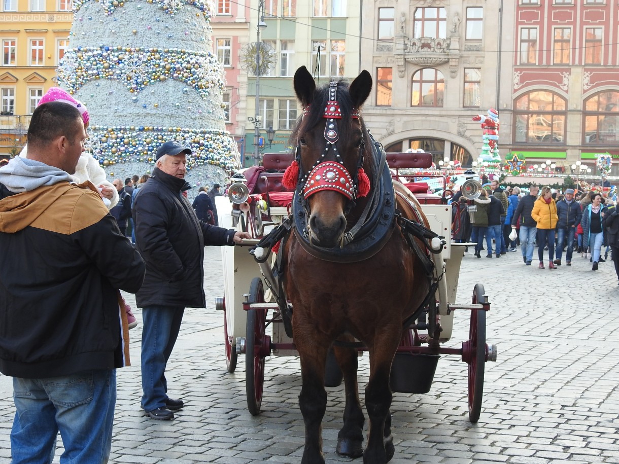 Podróże, "KOLOROWE JARMARKI " WROCŁAW