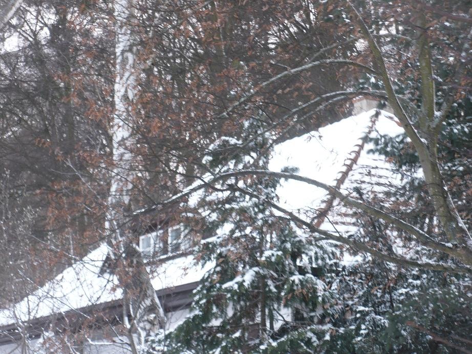 Pozostałe, Zima nad morzem .....i sztorm na Bałtyku..........