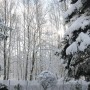 Pozostałe, Lutowa niedziela:) - A tak o poranku..zima na całego...