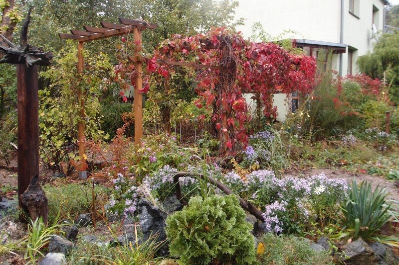 Ogród, Wszystko czerwone - pergola - dawniej różana