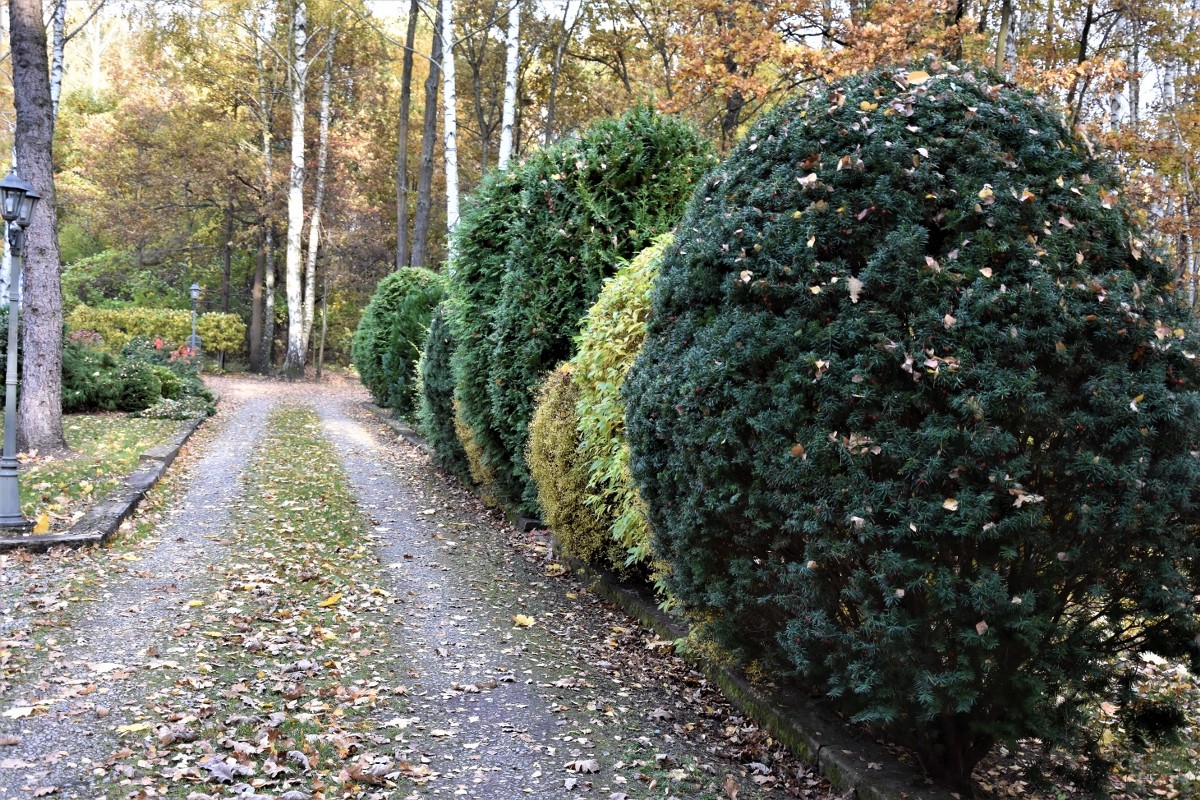 Sypialnia, Pażdziernik :)