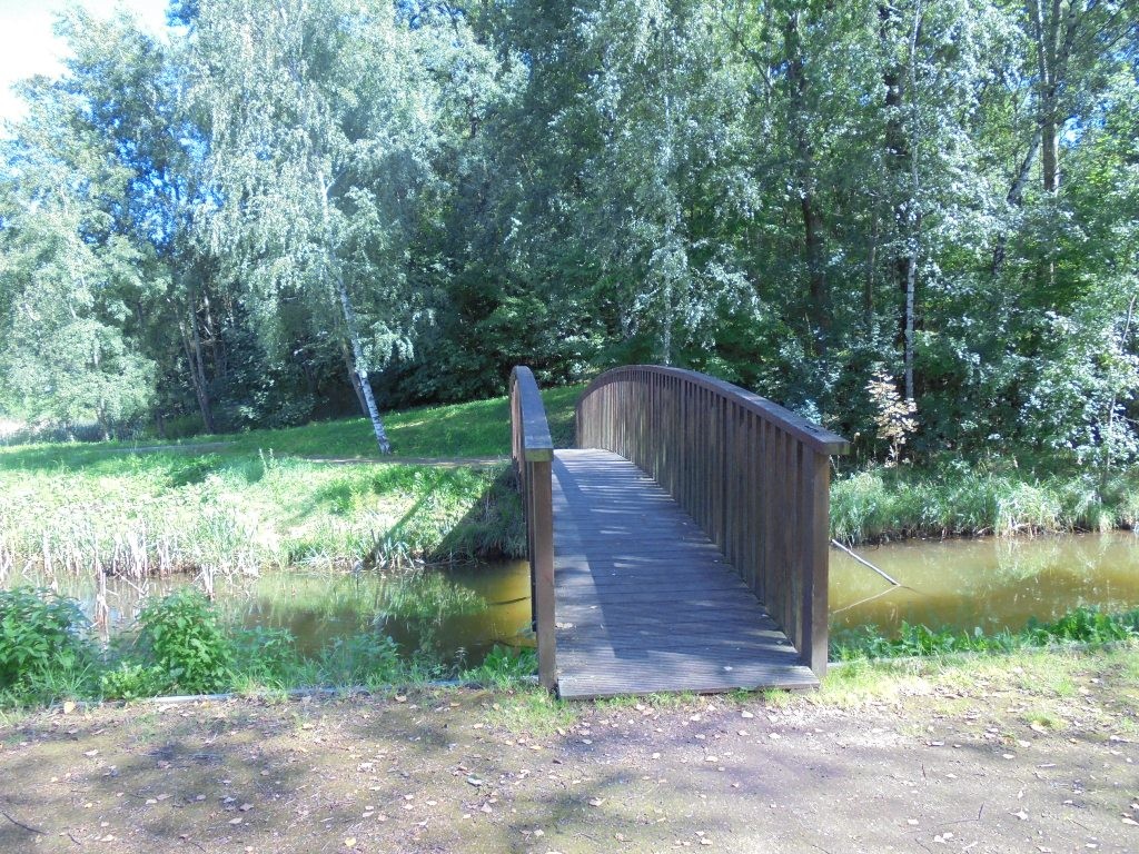 Pozostałe, NATURA w PEŁNEJ  KRASIE - Park Mickiewicza