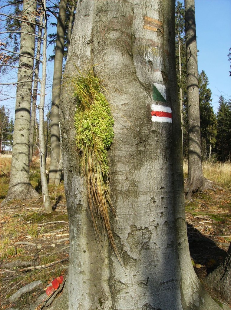 Pozostałe, SPACEREM PRZEZ WISŁĘ JESIENNĄ PORĄ - KUBALONKA