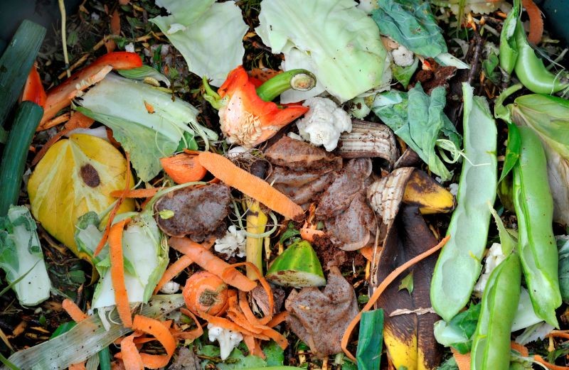 W worku możemy kompostować resztki z kuchni czy opadłe liście.