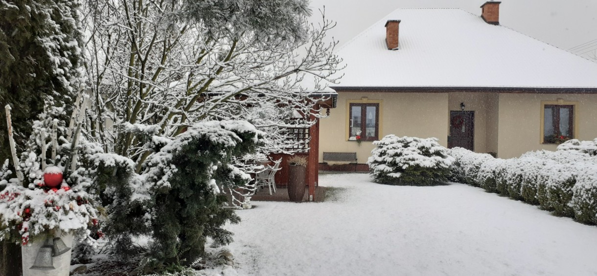 Ogród, Styczeń śniegiem przyprószony...