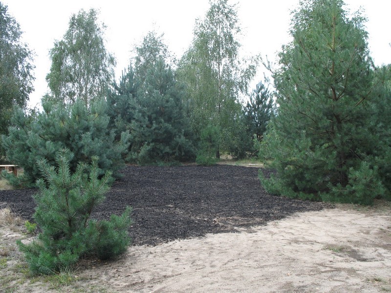 Leśne klimaty, Jak zmieniał się nasz ogród - Przygotowane miejsce na trawiastą polankę.