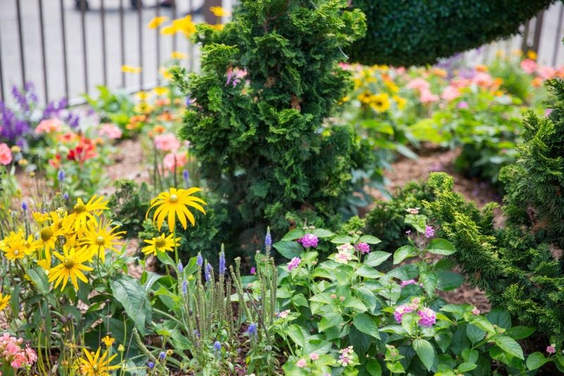 Do nawożenia roślin latem możemy wykorzystać sztuczne lub naturalne nawozy.