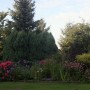 Pozostałe, LATO w moim ogrodzie i na tarasie - ta część, to kwiaty niebieskie, różowe i filetowe:)