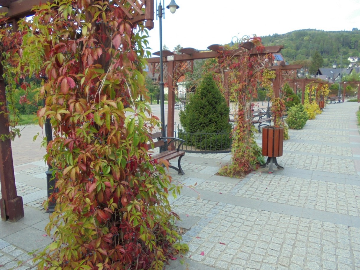 Pozostałe, PIERWSZE  JESIENNE  DNI - I część - PROMENADA NAD GRAJCARKIEM