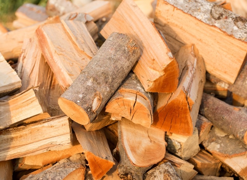 ile kosztuje drewno opałowe w sierpniu 2024