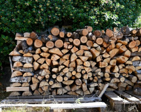 Jaką wilgotność powinno mieć drewno do palenia? Prosty sposób na sprawdzenie, w jakim stanie jest drewno