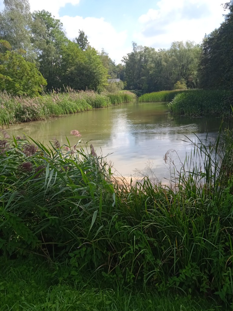 Leśne klimaty, PARKOWE ZACISZE