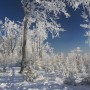 Pozostałe, zimowe klimaty - .