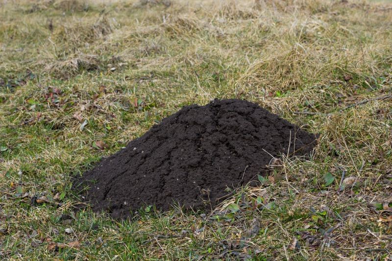 Jak pozbyć się kretów zimą? Warto sięgnąć po naturalne metody.