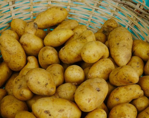 Połóż przy ziemniakach, działa jak strażnik. Bulwy są twarde aż do wiosny, nie gniją