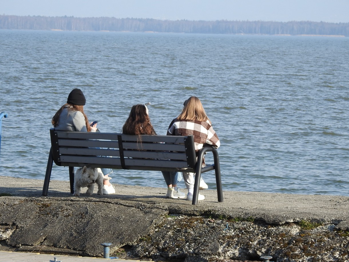 Rośliny, " MIĘDZY CISZĄ A CISZĄ"