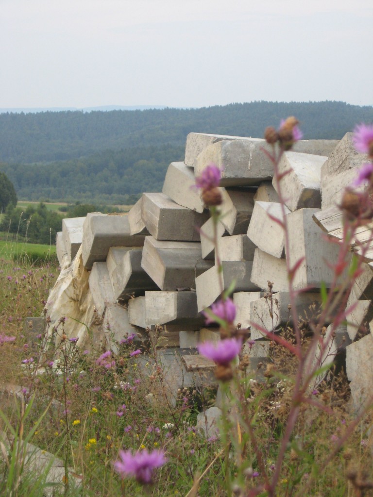 Pozostałe, Z cyklu cudze chwalicie... Bieszczady w moim obiektywie...