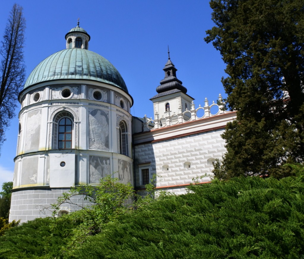 Rośliny, Wesołych wakacyjnych dni