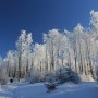 Pozostałe, zimowe klimaty - .