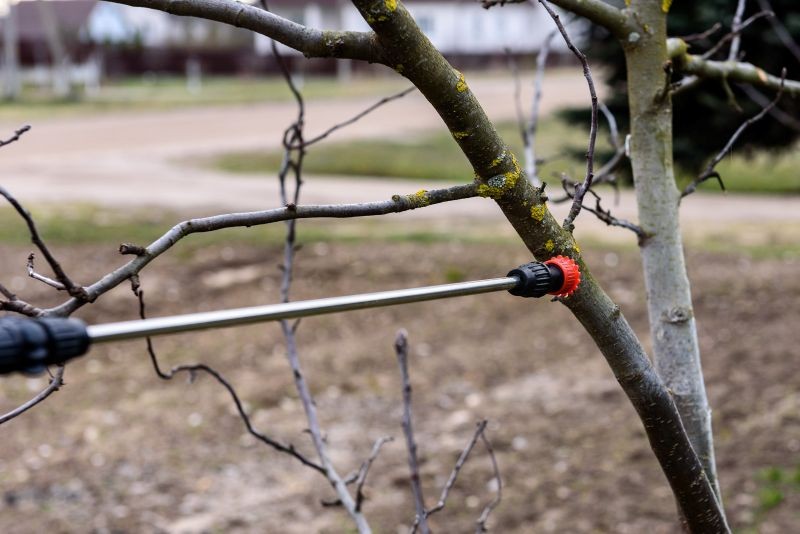 Spryskać olejem warto m.in. śliwy, grusze i jabłonie.