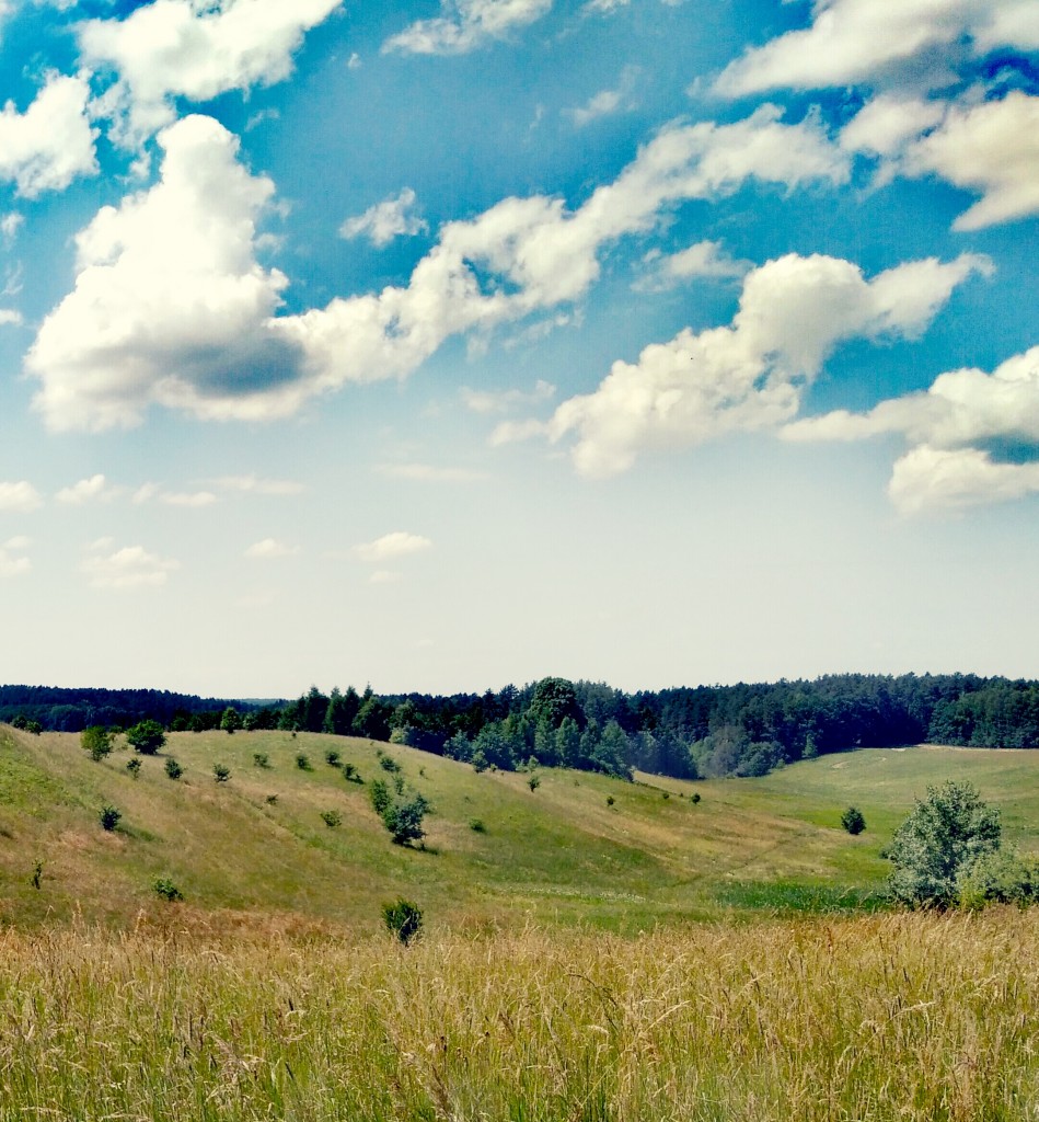 Leśne klimaty, Natura