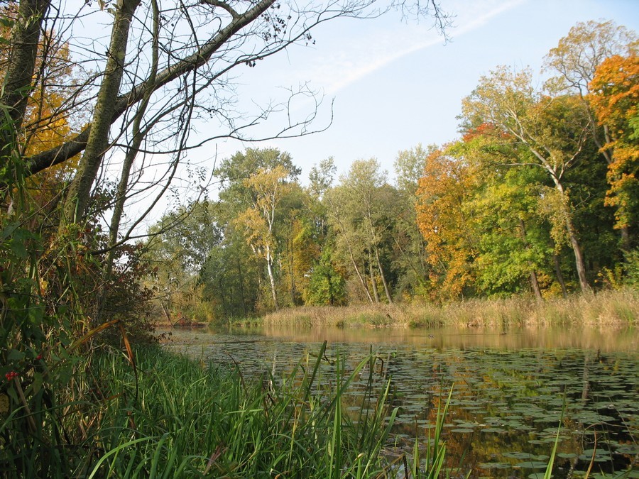 Pozostałe, Jesień