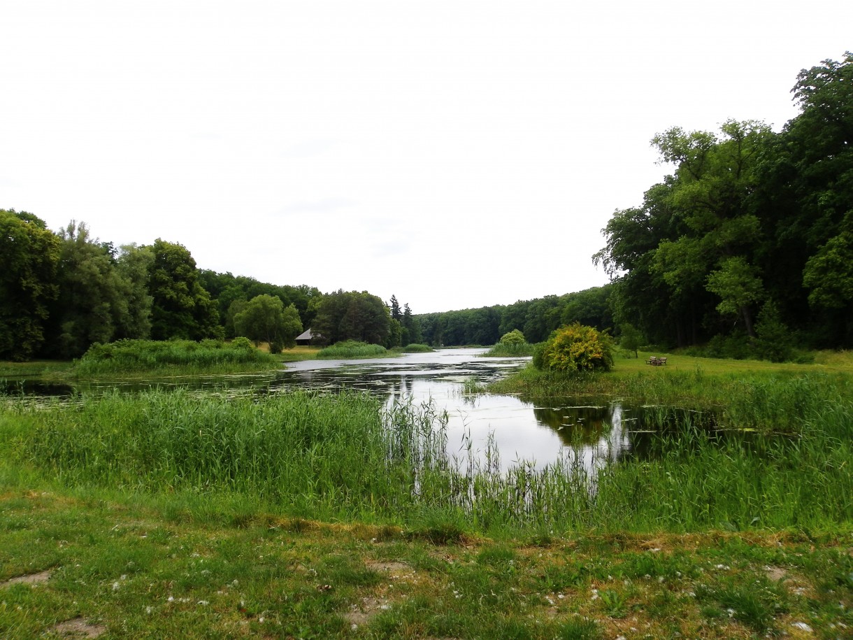 Pozostałe, Arboretum w Gołuchowie - Park i zabudowania cz 1 - Gołuchów 