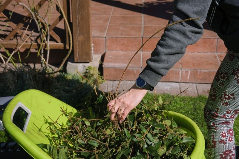 Bałagan w ogrodzie jest dla szczur&oacute;w atrakcyjny, bo zapewnia bezpieczne kryj&oacute;wki.