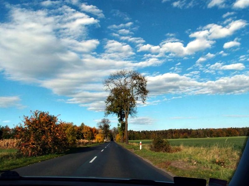 Podróże, Jesienną drogą jadąc