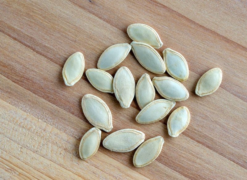 Nasiona cukinii przeznaczone do przechowywania muszą być całkiem suche.