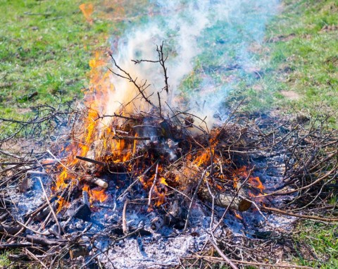 Co można palić w ognisku, za co dostaniesz mandat? Bezpieczne palnie ogniska w ogrodzie