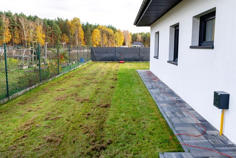 Jaki jest najlepszy domowy sposób na mech na trawniku?