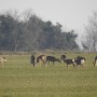 Leśne klimaty, PRZEBUDZENIE...