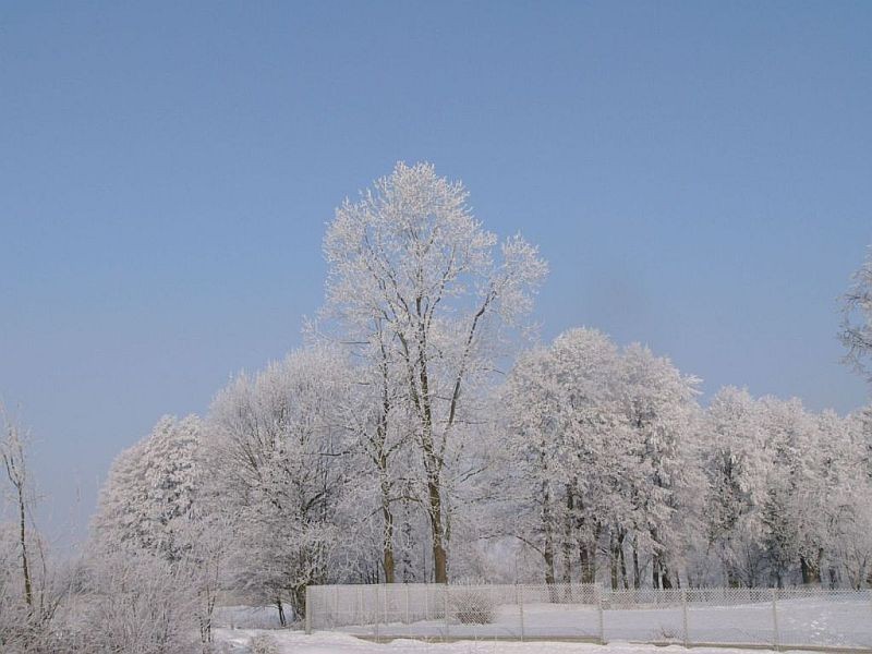 Pozostałe, Szron