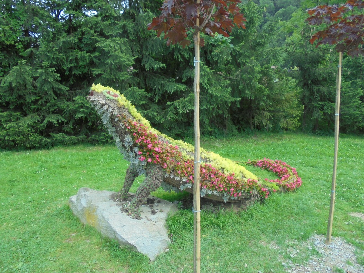 Podróże, FANTASTYCZNE  OKOLICE  PIENIN - Szczawnica Zdrój