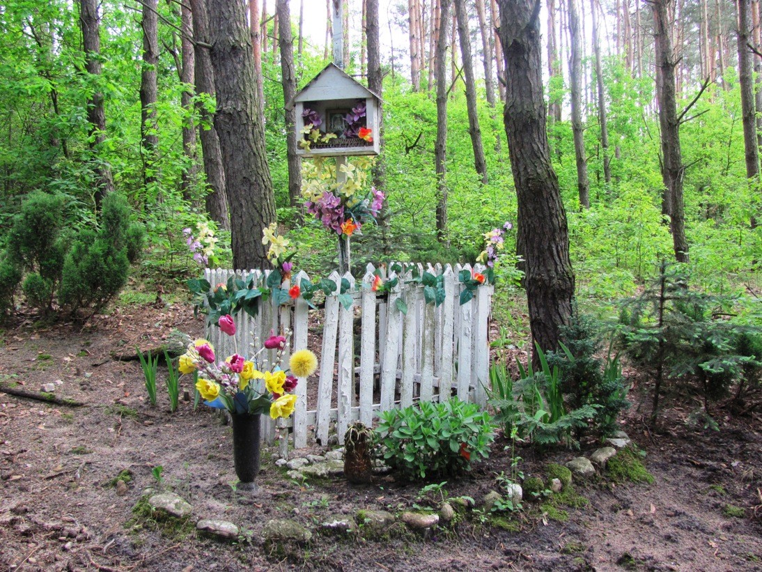 Pozostałe, Moje siedlisko - ;