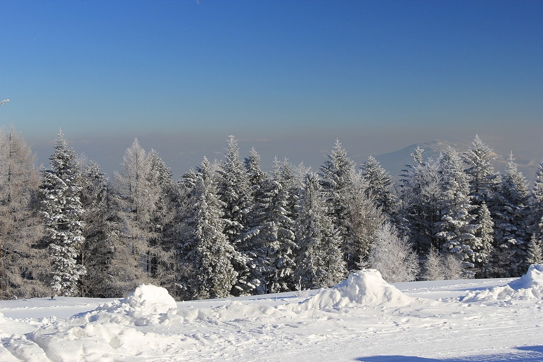 Pozostałe, zimowe klimaty - .