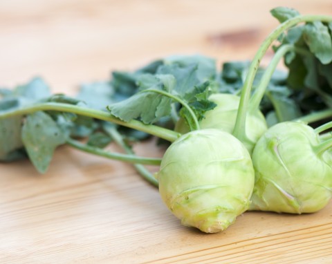 Kalarepa (Brassica oleracea var. gongylodes)