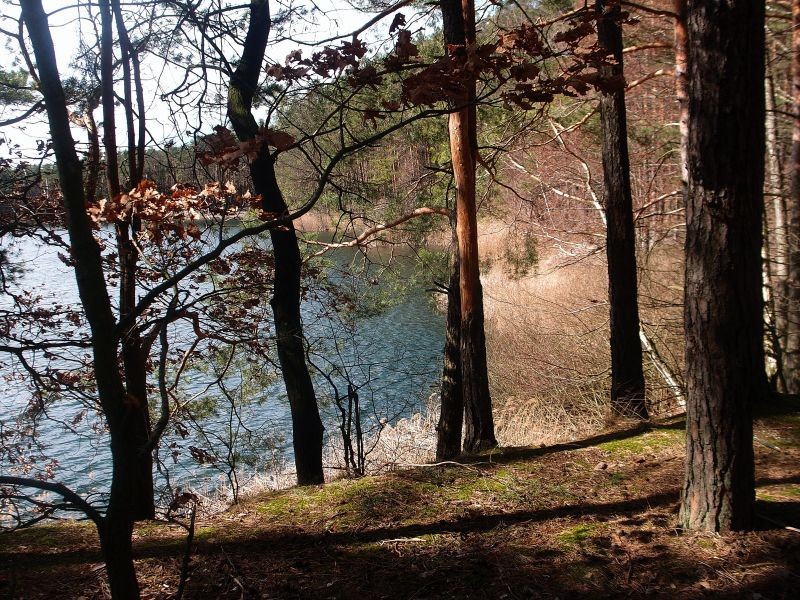 Podróże, Korzenioplastyka z nad jeziora