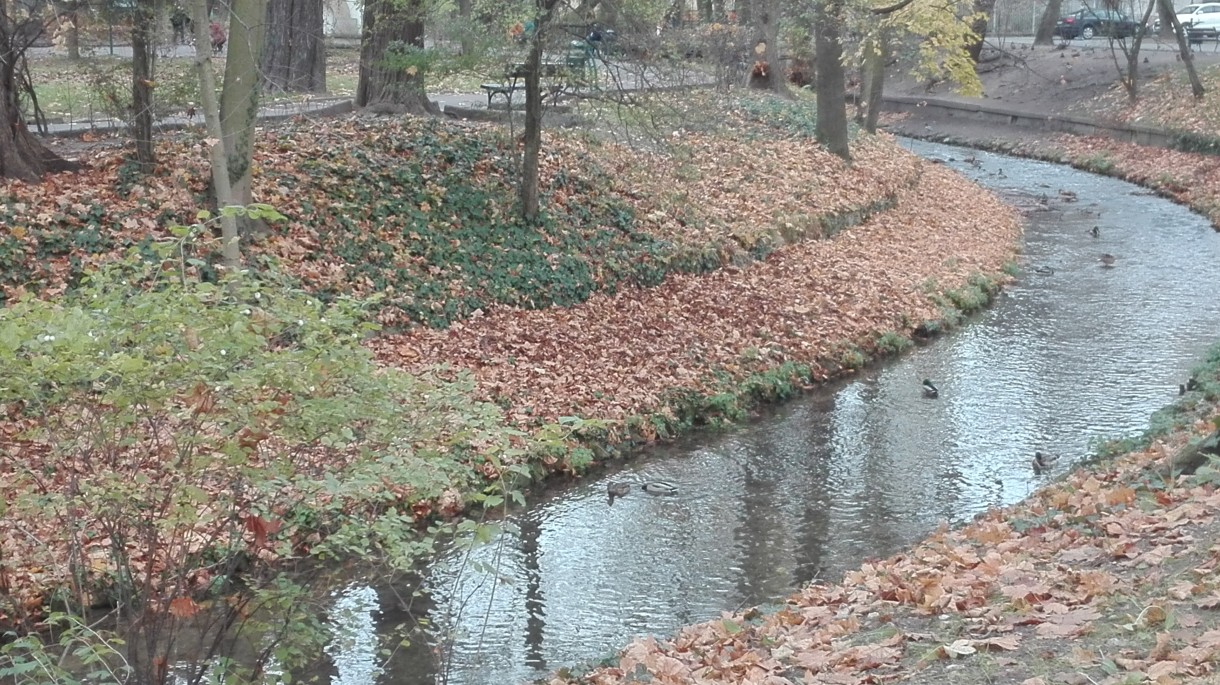 Podróże, Listopadowy park