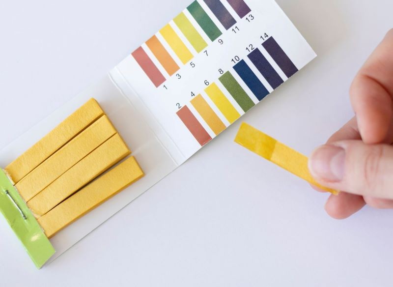 Do oceny odczynu gleby możemy wykorzystać papierek lakmusowy.