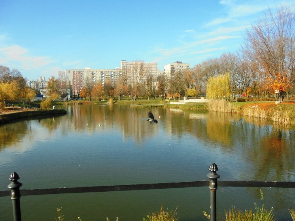 Rośliny, JESIEŃ  LŚNI  ZŁOCIŚCIE - Park Kachla Bytom