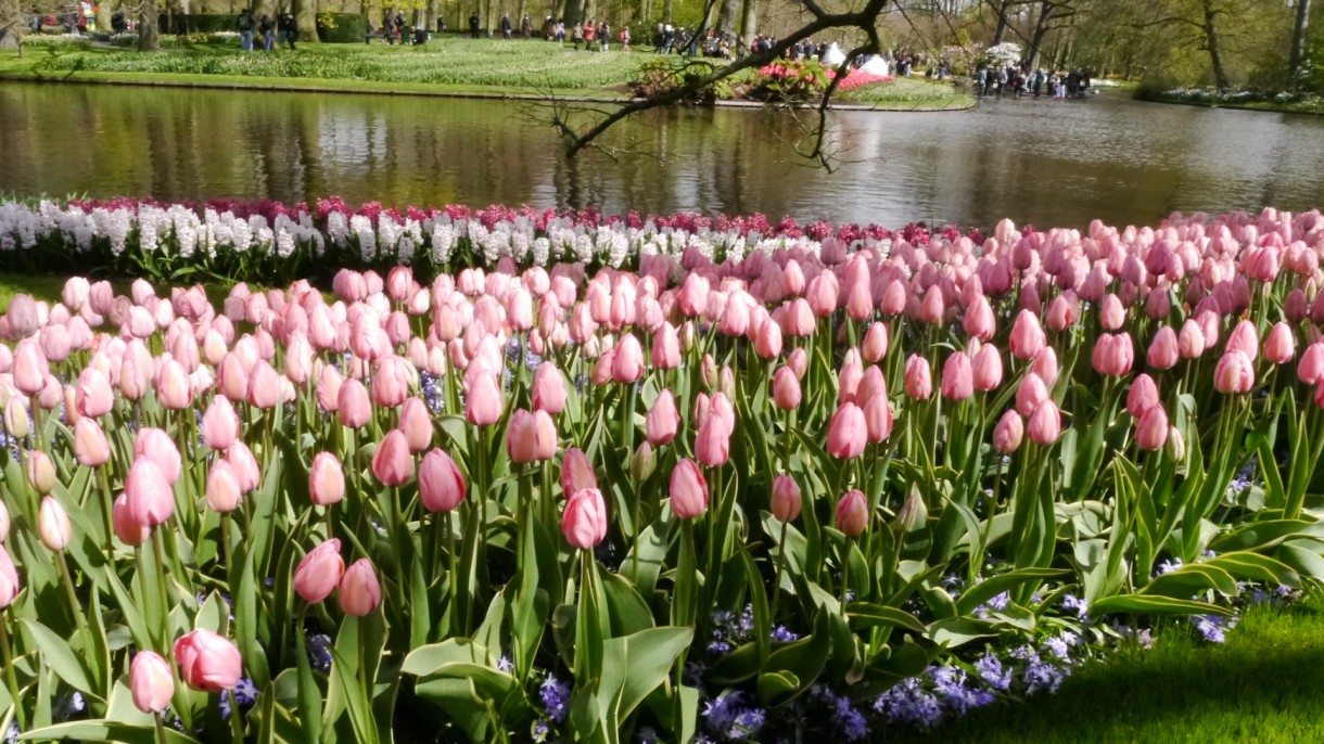 Pozostałe, Keukenhof