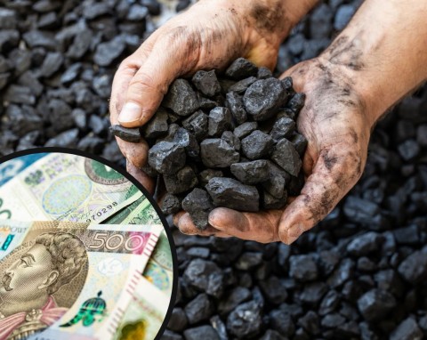 Ruszyły zapisy na węgiel za 2000 zł. Jak zapisać się na węgiel w gminie, ile można kupić?